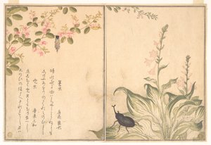  door Kitagawa Utamaro