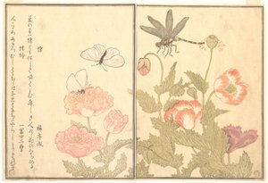  door Kitagawa Utamaro