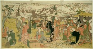 Kersenbloesem banket (Oka no utage)