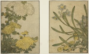 Chrysant en Narcis, uit het geïllustreerde boek "Prentenboek: Bloemen van de Vier Seizoenen (Ehon shiki no hana)," deel 2