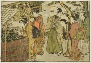 Tentoonstelling van chrysanten, uit het geïllustreerde boek "Prentenboek: Bloemen van de vier seizoenen," deel 2 door Kitagawa Utamaro