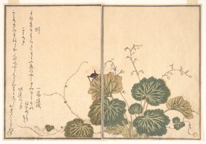  door Kitagawa Utamaro