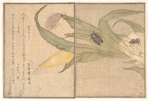  door Kitagawa Utamaro