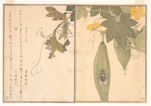  door Kitagawa Utamaro