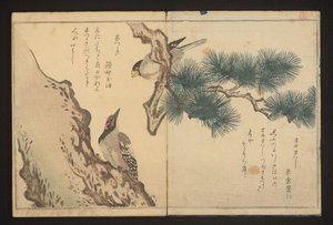 Grosbeak en specht door Kitagawa Utamaro