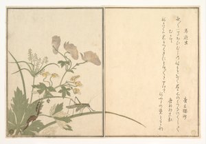  door Kitagawa Utamaro