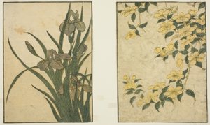Kerria en Iris, uit het geïllustreerde boek "Prentenboek: Bloemen van de Vier Seizoenen," deel 1