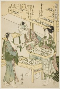 Nr. 6 (roku), uit de serie "Vrouwen werkzaam in de zijderupsindustrie (Joshoku kaiko tewaza-gusa)" door Kitagawa Utamaro