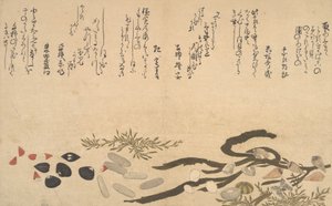 Schelpen onder Water, 1790 door Kitagawa Utamaro