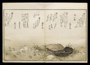 Shiohi no tsuto (Geschenken van de Eb), bekend als het Schelpenboek, 1789 door Kitagawa Utamaro