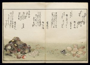Shiohi no tsuto (Geschenken van de Eb), bekend als het Schelpenboek, 1789 door Kitagawa Utamaro