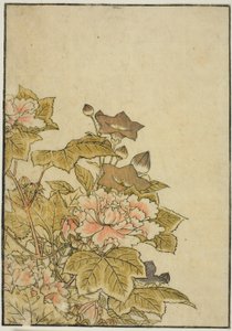 Herfstbloemen: Pioenen en Klokjesbloemen, uit het boek "Spiegel van Mooie Vrouwen van de Plezierkwartieren (Seiro bijin awase sugata kagami)," vol. 2 door Kitao Shigemasa
