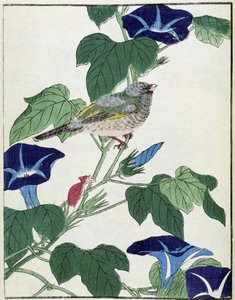 Vogel op een boom. Japanse tekening door Kitao Kosuisai