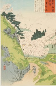 Berg Yoshino, kersenbloesems