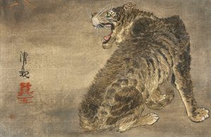Tijger en bliksem