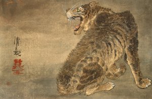 Tijger en bliksem