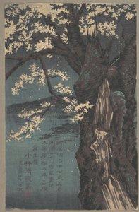  door Kobayashi Kiyochika