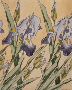 Iris, 1898 door Koloman Moser