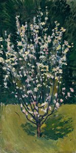 Bloeiende boom door Koloman Moser