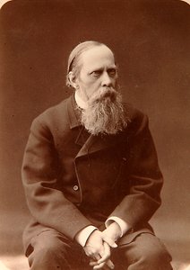 Mikhail Saltykov-Shchedrin, Russische auteur, 1880s