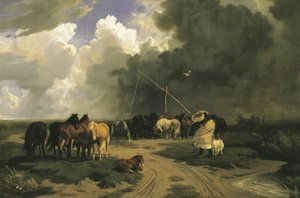 Paarden in een regenbui
