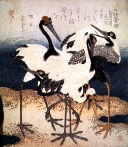 Vijf kraanvogels met witte veren in verschillende houdingen op een zandbank, uit de serie Drie Bloemblaadjes, c.1816 door Kubo Shumman