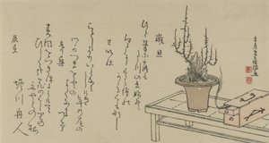 Bonsai pruimenboom op bank en doos