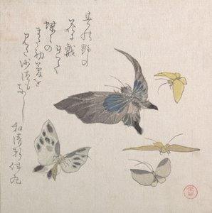 Vlinders, 19e eeuw door Kubo Shunman
