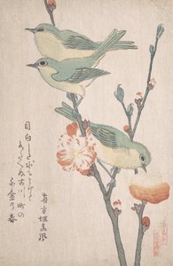 Japanse Witte Ogen op een Tak van Perzikboom, ca. 1805-10