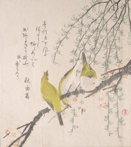 Japanse Witte Ogen met Pruimenboom en Wilg..., ca. 1810