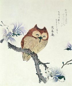Uil op een Magnolia-tak (inkt  kleur op papier)