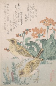 Veldleeuweriken en sleutelbloemen, ca. 1805-10