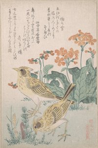  door Kubo Shunman