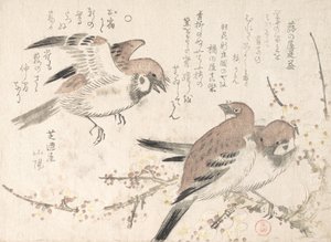 Mussen en pruimenbloesems, 19e eeuw