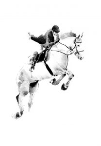  door Kulik