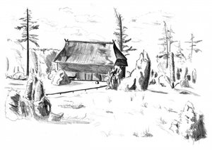 door Kulik