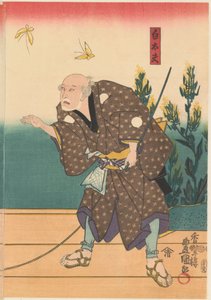 Shirotayû met twee vlinders