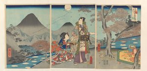 De maan gereflecteerd in de rijstvelden van Shinano