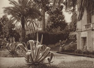 Rome: In de Vaticaanse Tuin