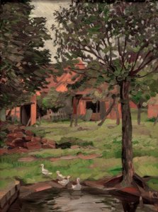 Boerderij met ganzen