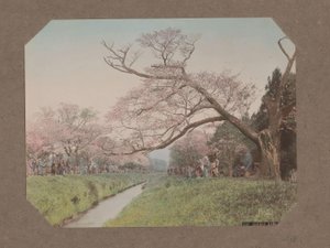 Mensen en kersenbloesem aan weerszijden van een beek in Koganei, Tokyo, Japan door Kusakabe Kimbei