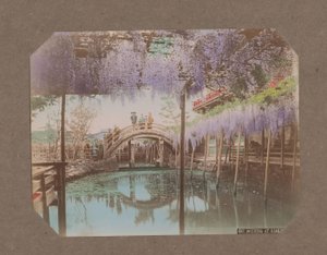 Mensen op een brug, met op de voorgrond bloeiende blauweregen, in Kameido, Tokyo, Japan door Kusakabe Kimbei