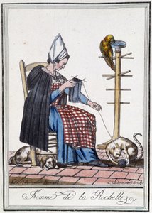 Vrouw van La Rochelle die breit met een hond, een papegaai en een kat die met de bol wol spelen