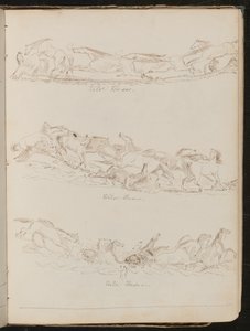 Drie studies van vrij galopperende paarden