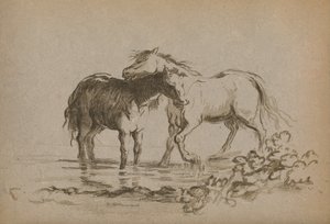 Paarden, 1903 door Lady Diana Spencer