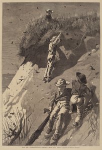 Aanval op een Zandzwaluwkolonie - "Hoeveel Eieren?" door Lagarde after Winslow Homer