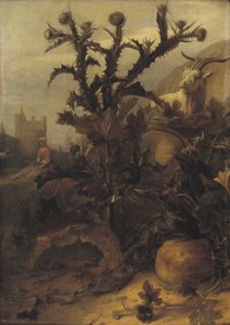 Distel, pompoen en een geit door Lambert Doomer