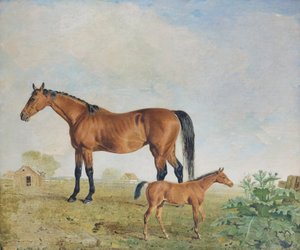 De paarden van Mr. Young, Benjamin en Lambert Marshall