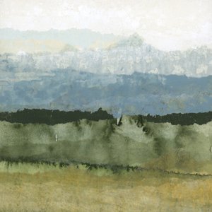 Mistig groen landschap
