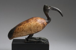 Ibis door Late Period Egyptian